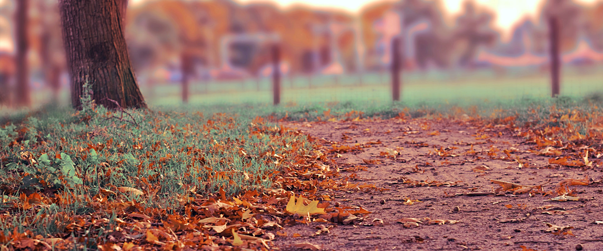 高速下载器的短信验证码轰炸网址免费