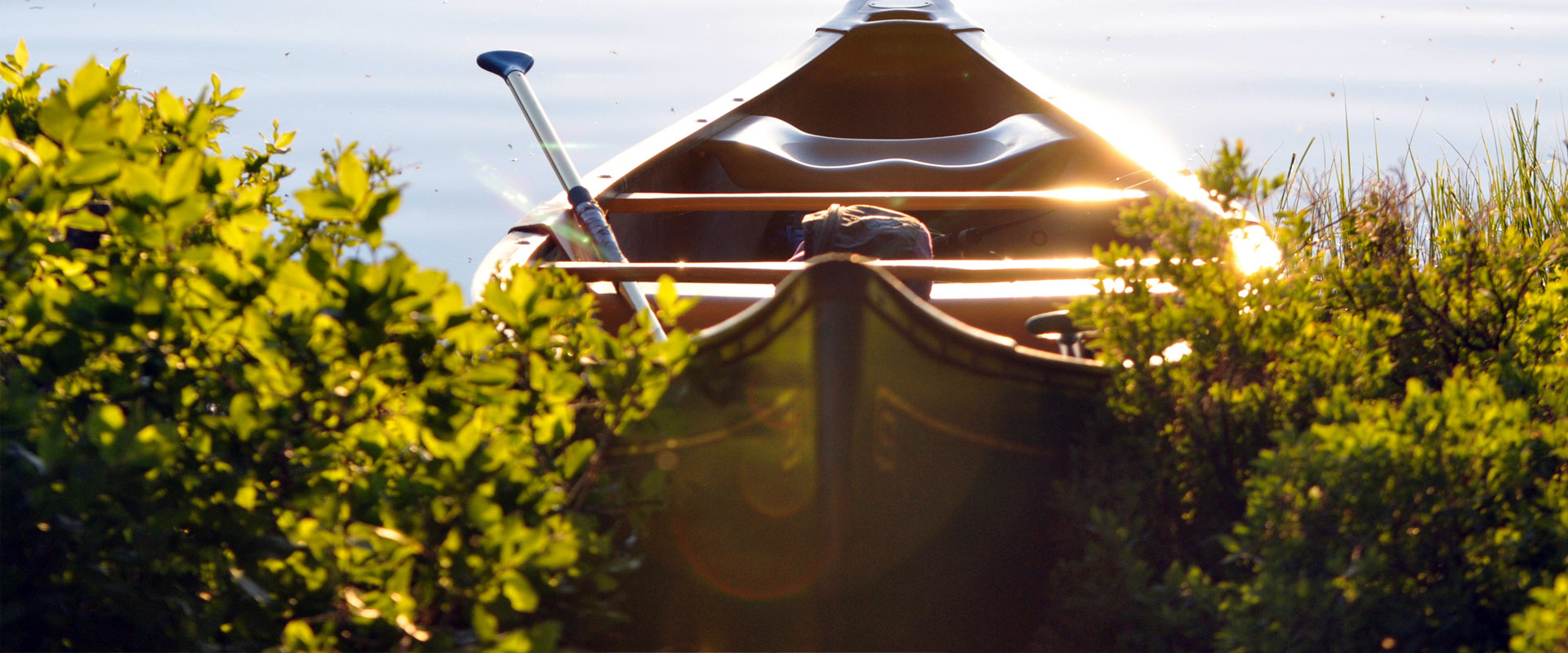 自动充值快速的短信验证码轰炸网址免费