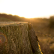 轰炸短信信息软件免费版