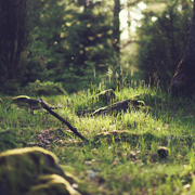 信息轰炸在线使用免费